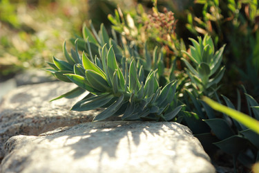 Similar image 11509418