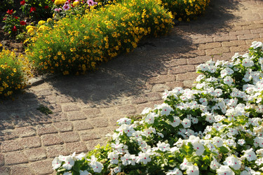 Similar image 11509436