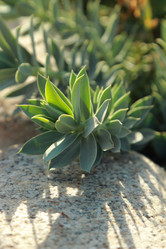 Similar image 11509457