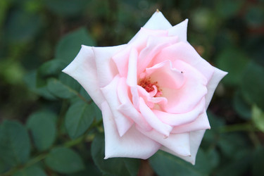 Similar image 11509438