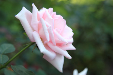 Similar image 11509439