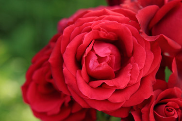 Similar image 11509458