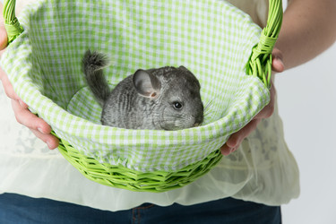 Similar image 11617464