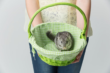 Similar image 11617467