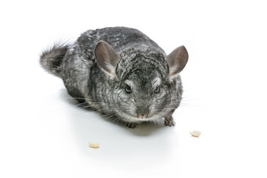 Similar image 11617473