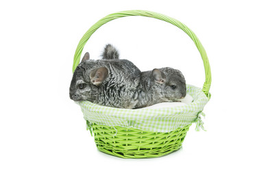 Similar image 11617528