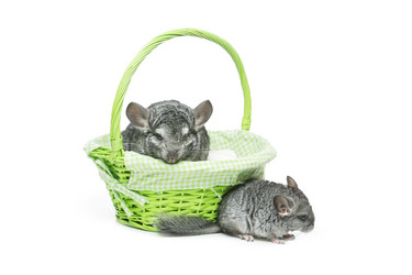 Similar image 11617530