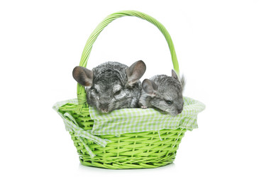 Similar image 11617533