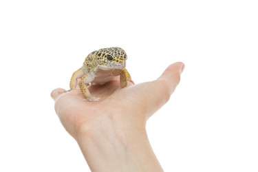 Similar image 11617538