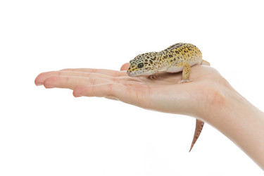 Similar image 11617543