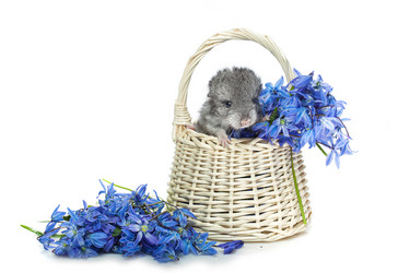 Similar image 11617096