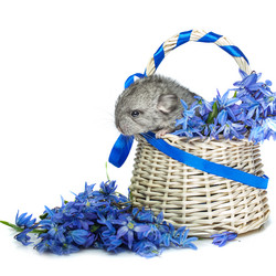 Similar image 11617101