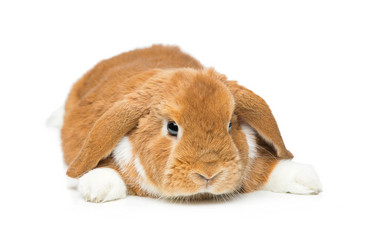 Similar image 11616558