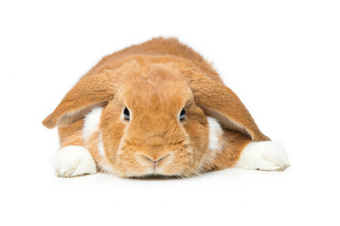 Similar image 11616916