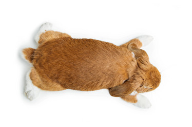 Similar image 11616919