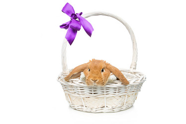 Similar image 11616921