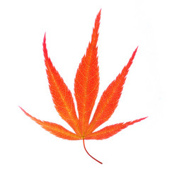 Similar image 11690242