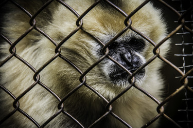 Similar image 11698298