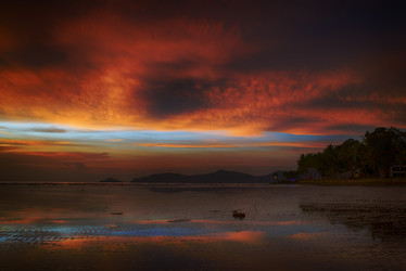 Similar image 11700831