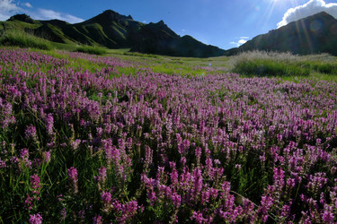 Similar image 11703162