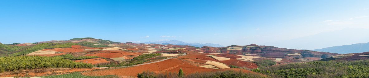 Similar image 11702184