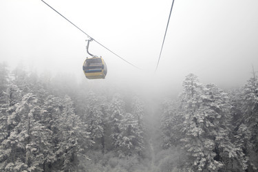 Similar image 11704759