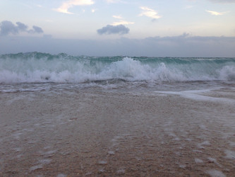 Similar image 11704854