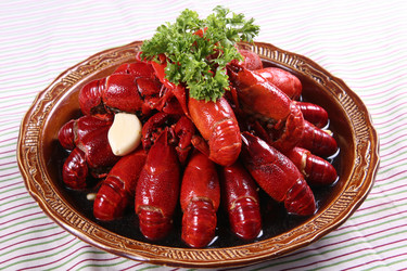 Similar image 11698370