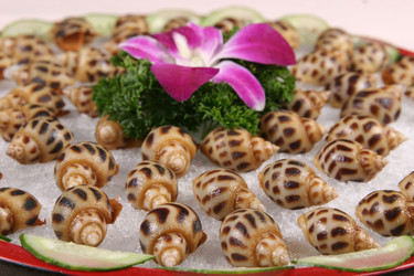 Similar image 11702222