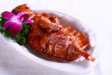 Similar image 11704119