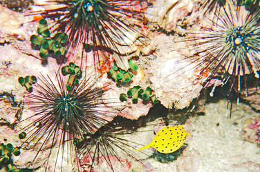 Similar image 11511303