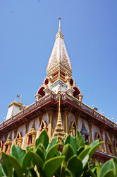 Similar image 11511304