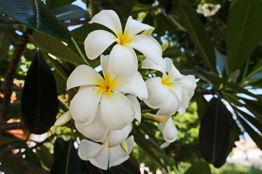 Similar image 11511307