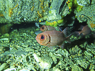 Similar image 11511308