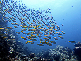 Similar image 11511309