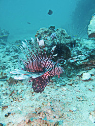 Similar image 11511310