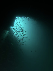 Similar image 11511312