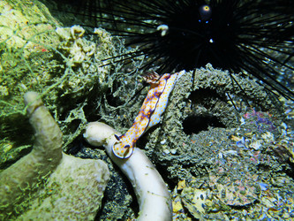 Similar image 11511317