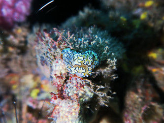 Similar image 11511319