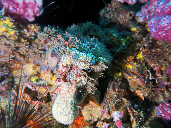 Similar image 11511320