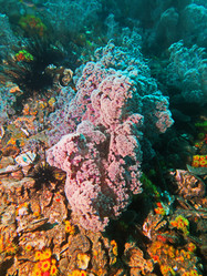 Similar image 11511321