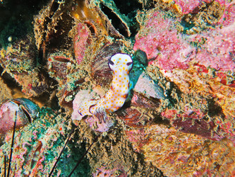 Similar image 11511324