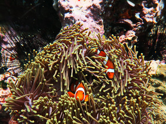 Similar image 11511325