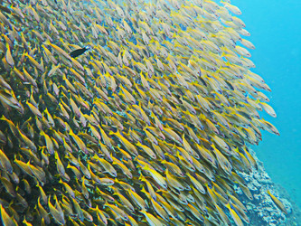 Similar image 11511326