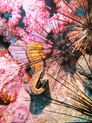 Similar image 11511327