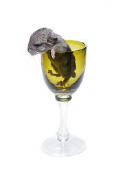 Similar image 11616936