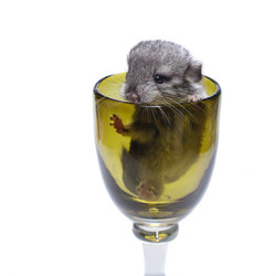 Similar image 11616939