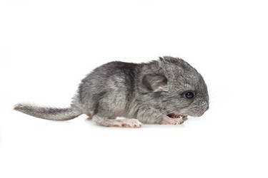 Similar image 11616991