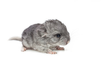 Similar image 11616994