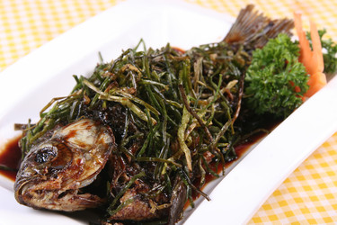 Similar image 11698268